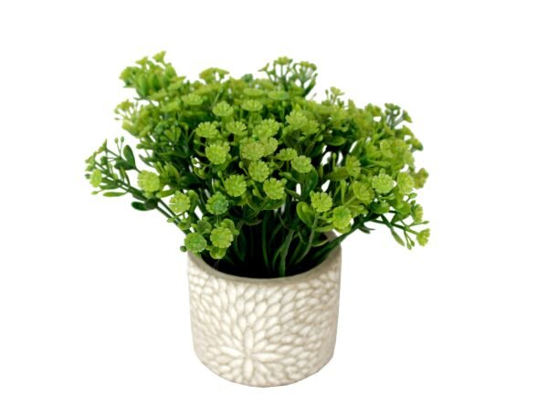 PCOFLR905 Plant with pot, Pot's Width:-08cm, Total Height:-15cm