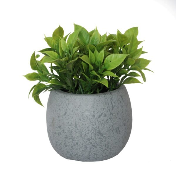 PCOTGL773  Plant with pot, Pot's Width:-09cm, Total Height:-15cm