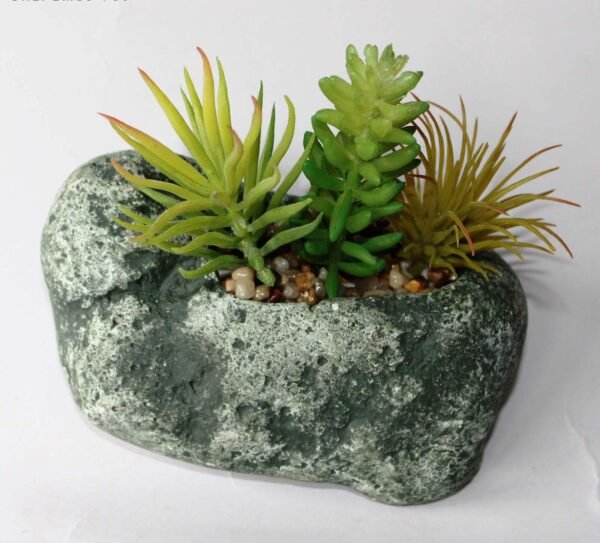 SR1PLMS3 (with Pot) Pot's Length/width/Height:-13/09/05cm Product's Height:- 15cm