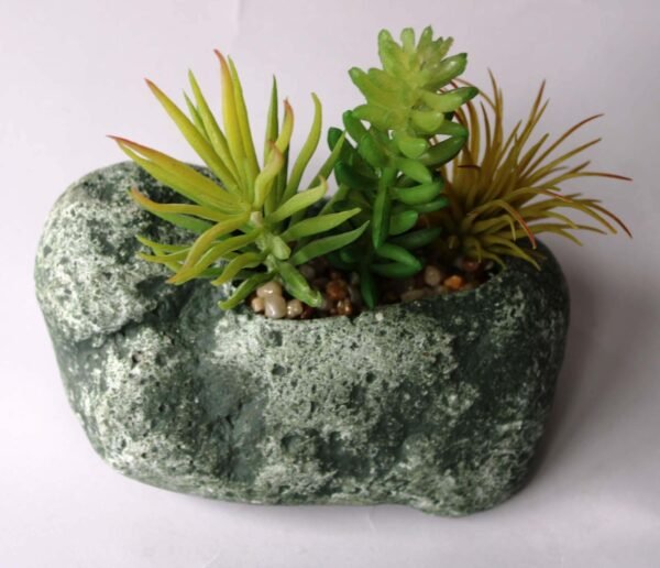 SR1PLMS3 (with Pot) Pot's Length/width/Height:-13/09/05cm Product's Height:- 15cm - Image 5