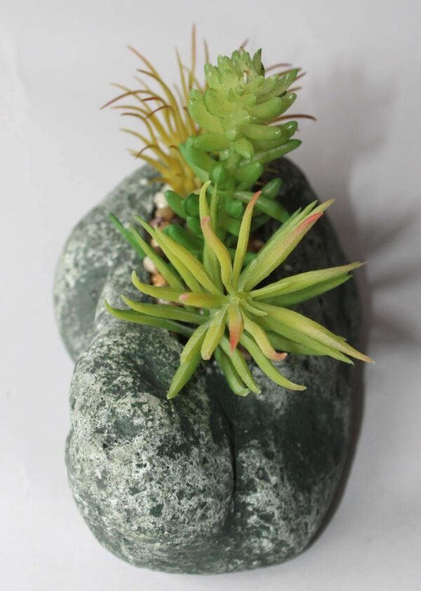 SR1PLMS3 (with Pot) Pot's Length/width/Height:-13/09/05cm Product's Height:- 15cm - Image 4