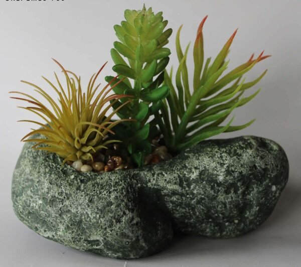 SR1PLMS3 (with Pot) Pot's Length/width/Height:-13/09/05cm Product's Height:- 15cm - Image 3