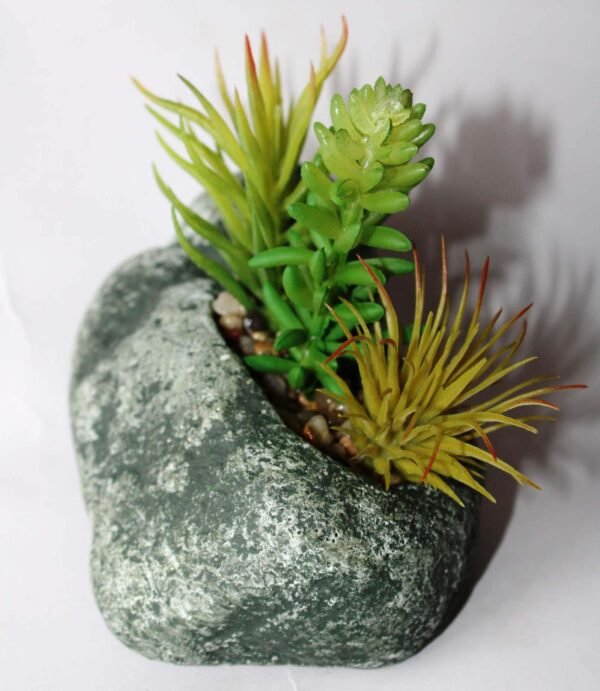 SR1PLMS3 (with Pot) Pot's Length/width/Height:-13/09/05cm Product's Height:- 15cm - Image 2