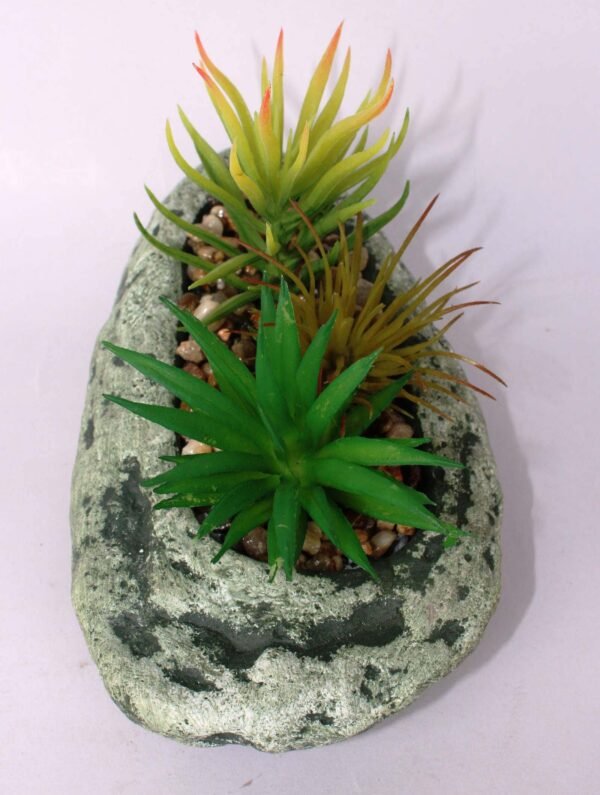SR2SHOS3 (with Pot) Pot's Length/width/Height:-16/10/03cm Product's Height:- 13cm - Image 4