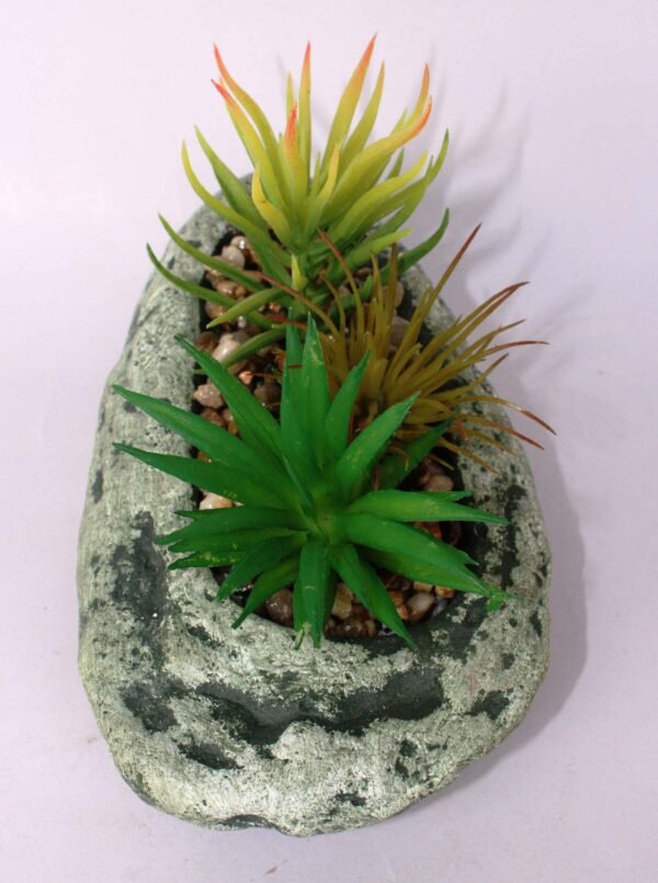 SR2SHOS3 (with Pot) Pot's Length/width/Height:-16/10/03cm Product's Height:- 13cm - Image 3