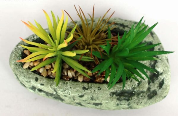 SR2SHOS3 (with Pot) Pot's Length/width/Height:-16/10/03cm Product's Height:- 13cm