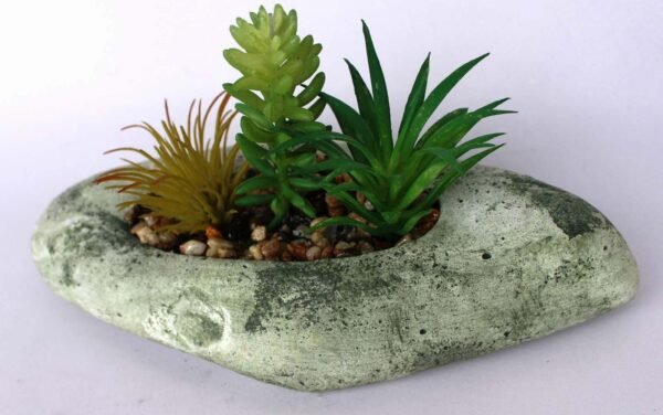 SR3BOTS3 (with Pot) Pot's Length/width/Height:-21/09/03cm Product's Height:- 13cm - Image 3