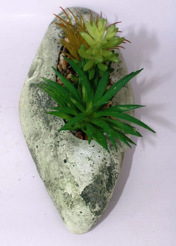 SR3BOTS3 (with Pot) Pot's Length/width/Height:-21/09/03cm Product's Height:- 13cm - Image 2