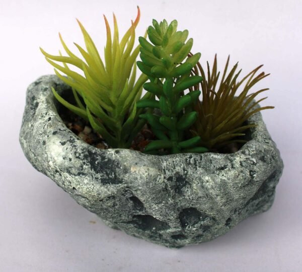 SR4RCTS3 (with Pot) Pot's Length/width/Height:-13/10/07cm Product's Height:- 17cm