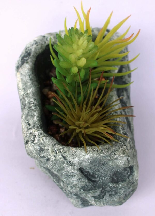 SR4RCTS3 (with Pot) Pot's Length/width/Height:-13/10/07cm Product's Height:- 17cm - Image 2