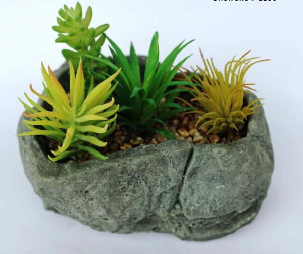 SR5RCKS4 (with Pot) Pot's Length/width/Height:-40/60/28cm Product's Height:- 43cm - Image 4