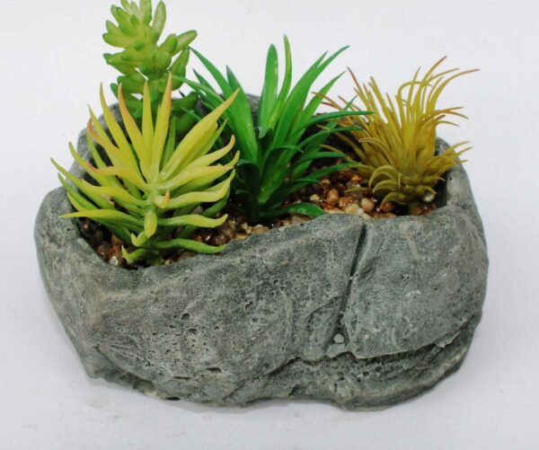 SR5RCKS4 (with Pot) Pot's Length/width/Height:-40/60/28cm Product's Height:- 43cm - Image 2