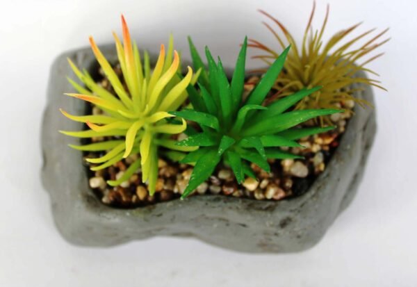 SR6GRES3 (with Pot) Pot's Length/width/Height:-16/10/05cm Product's Height:- 15cm - Image 2