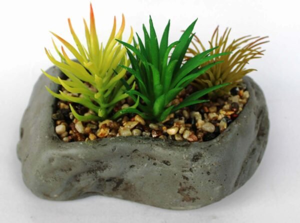 SR6GRES3 (with Pot) Pot's Length/width/Height:-16/10/05cm Product's Height:- 15cm