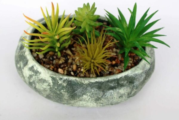 SR7OVLS4 (with Pot) Pot's Length/width/Height:-18/14/06cm Product's Height:- 16cm - Image 5
