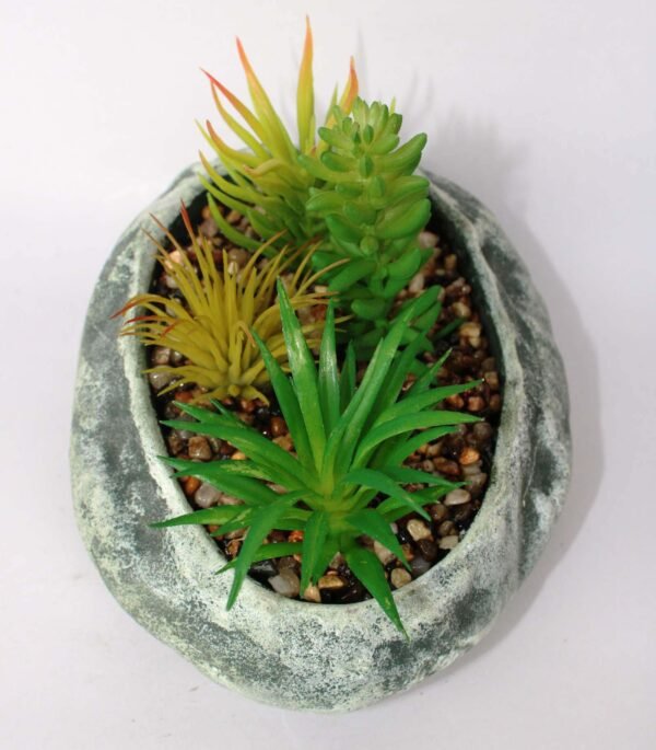 SR7OVLS4 (with Pot) Pot's Length/width/Height:-18/14/06cm Product's Height:- 16cm - Image 4