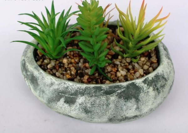 SR7OVLS4 (with Pot) Pot's Length/width/Height:-18/14/06cm Product's Height:- 16cm
