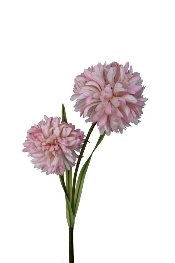 AF-SDL-LP Height :-75cm - Image 2