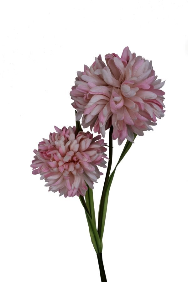 AF-SDL-LP Height :-75cm