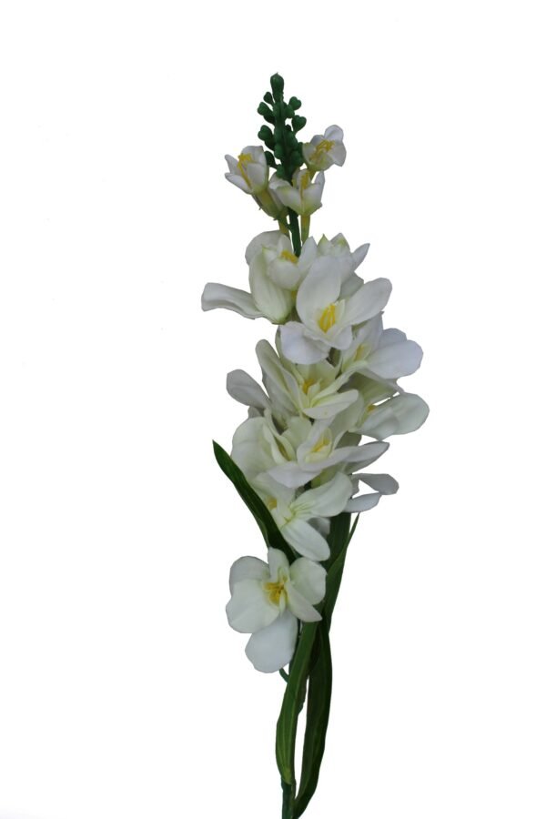 AF-SGL-WW Height :-95cm - Image 2