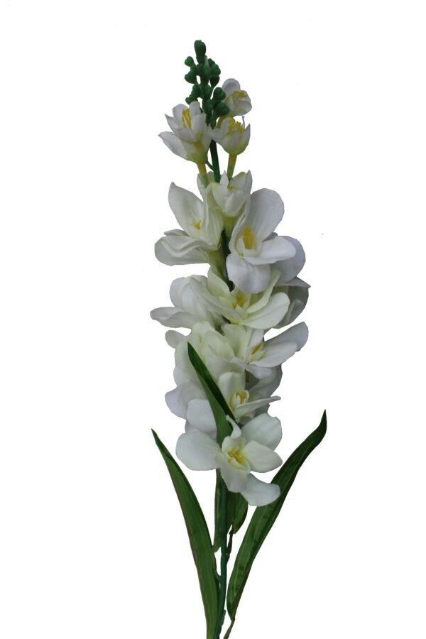 AF-SGL-WW Height :-95cm