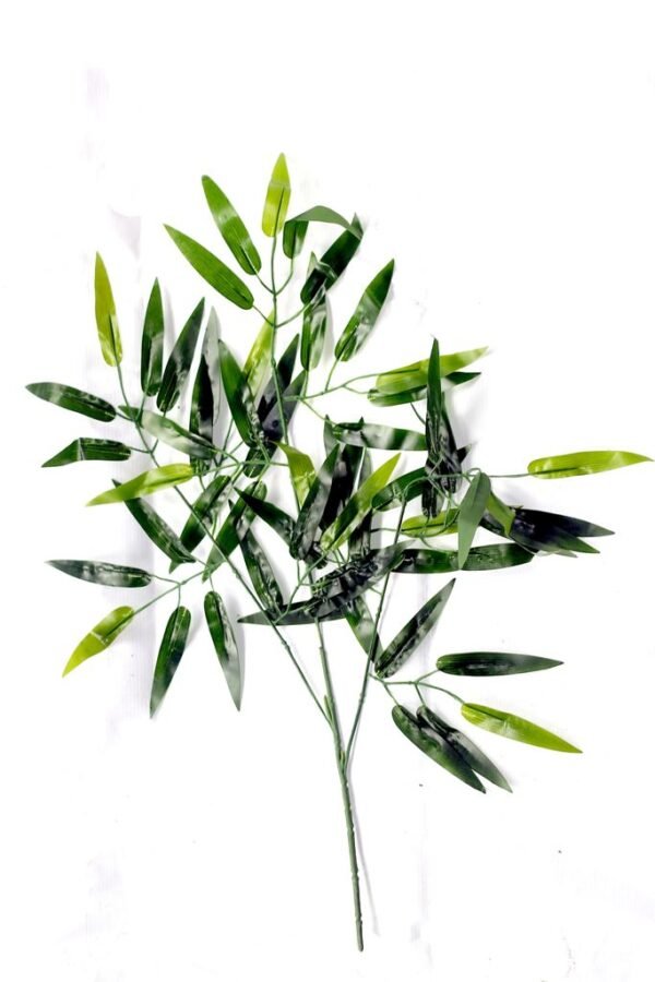 Foliage-Bamboo Height:- 54cm Width :- 55cm